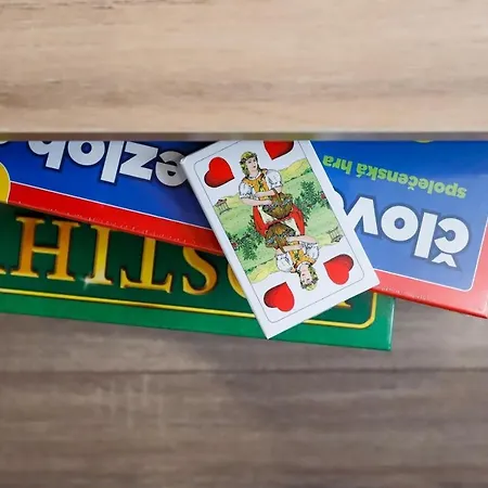 Lägenhet Family Ostrava