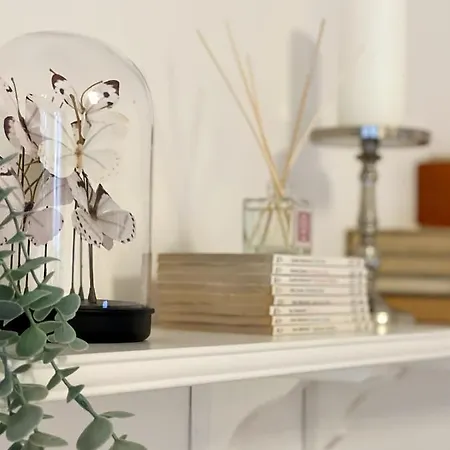 Lägenhet Family Ostrava